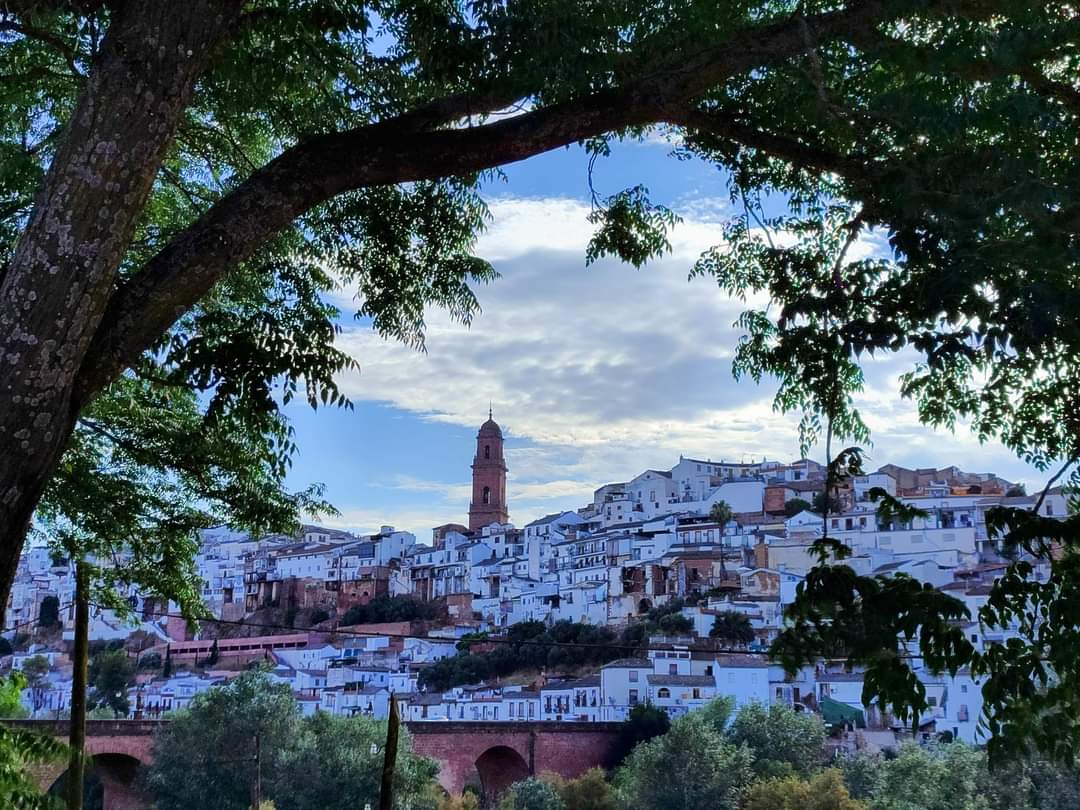 Vista de Montoro